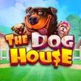 DHG
