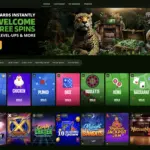 Wild Casino Review 2026 — 17+ Cryptos, 1,500+ Games, US