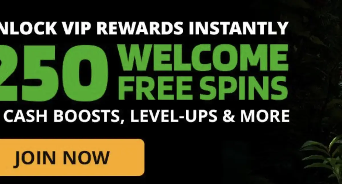 Photo: Wild Casino Bonus 2026 — 250 Free Spins, Match Codes & Full Terms