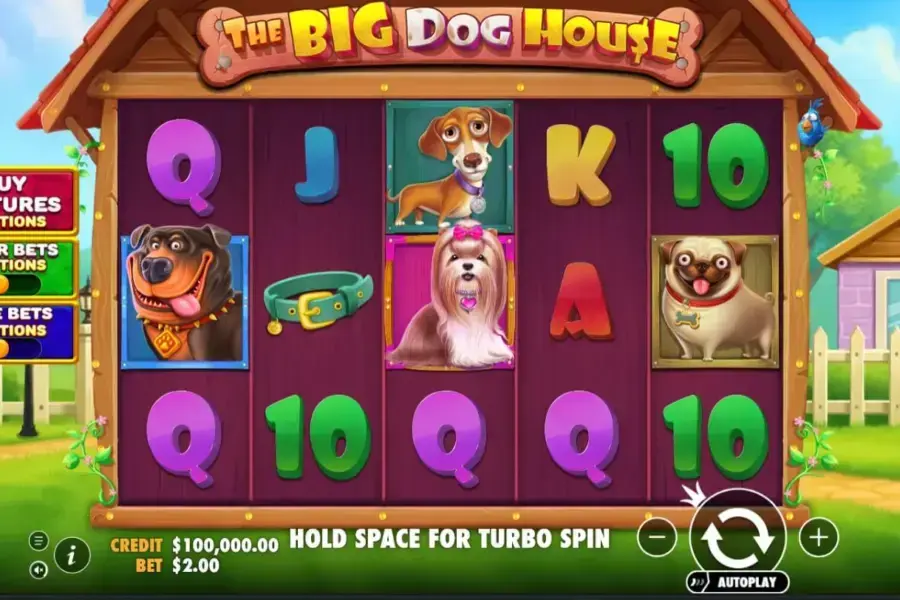 Photo: The Big Dog House Slot Review 2026 — RTP, Max Win & How It Compares