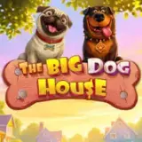 bdh