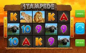 Photo: Stampede Slot Review 2026